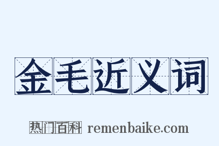 金毛近义词是什么意思的图片